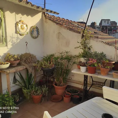 Apartment Vacanzella