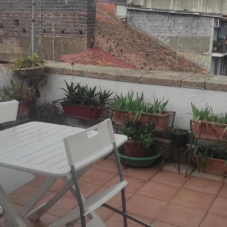 Apartment Vacanzella